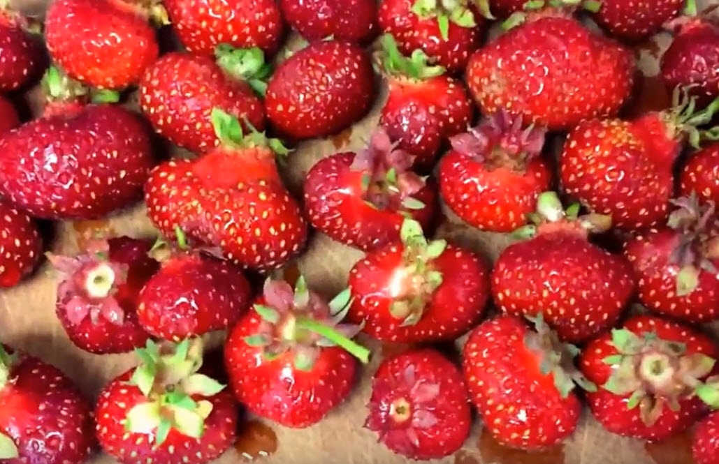 Woodland Strawberry